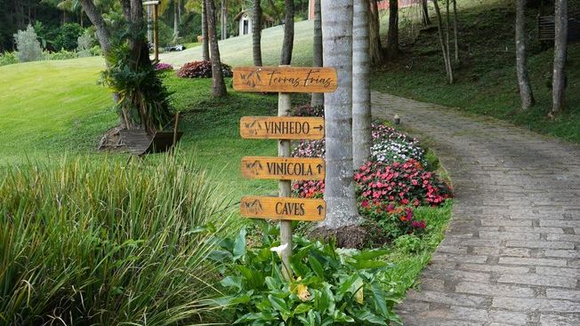 Enoturismo amplia concorrência e exige diferenciação